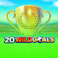 20 Wild Goals game screenshot